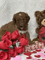 processed/bba197dd-e308-4e4e-8c22-f9874d2a47c1/listing/711b6b5f-93a6-467c-b000-73fa0c355c86/5f7df786-9c8d-4b07-94e2-13c40a25a3cd