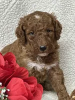 processed/bba197dd-e308-4e4e-8c22-f9874d2a47c1/listing/711b6b5f-93a6-467c-b000-73fa0c355c86/7c04e39a-a5fd-45f8-a334-d3b54f914edc