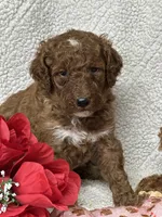 processed/bba197dd-e308-4e4e-8c22-f9874d2a47c1/listing/711b6b5f-93a6-467c-b000-73fa0c355c86/bdb06461-4411-46af-84eb-852db42826fd