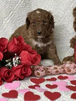 processed/bba197dd-e308-4e4e-8c22-f9874d2a47c1/listing/711b6b5f-93a6-467c-b000-73fa0c355c86/dd2717b9-4798-4488-a0e1-2219c6837ee5