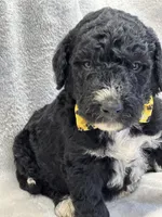 processed/bba197dd-e308-4e4e-8c22-f9874d2a47c1/listing/7655e34f-32f2-40e4-9398-a02fd888230b/11173229-467b-46ac-b4f0-21640915a6bf