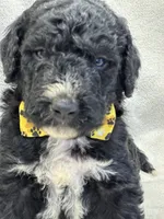 processed/bba197dd-e308-4e4e-8c22-f9874d2a47c1/listing/7655e34f-32f2-40e4-9398-a02fd888230b/2180e7ec-7295-43d3-9f1b-0eb3bd89fd19