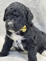 processed/bba197dd-e308-4e4e-8c22-f9874d2a47c1/listing/7655e34f-32f2-40e4-9398-a02fd888230b/81595cee-25c5-46e8-86f7-db200e1ba423