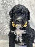 processed/bba197dd-e308-4e4e-8c22-f9874d2a47c1/listing/7655e34f-32f2-40e4-9398-a02fd888230b/b927bff7-c23e-43c3-8332-ec95b0453c77