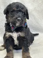 processed/bba197dd-e308-4e4e-8c22-f9874d2a47c1/listing/97995b83-0140-4a31-89a5-fbbe891d4044/2cfca70b-b59e-44e3-8108-a65dddc061af