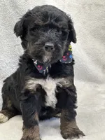 processed/bba197dd-e308-4e4e-8c22-f9874d2a47c1/listing/97995b83-0140-4a31-89a5-fbbe891d4044/5d8506f1-e158-4bcb-a891-430ca0c7cde7