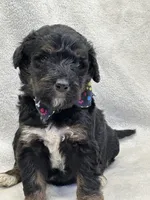 processed/bba197dd-e308-4e4e-8c22-f9874d2a47c1/listing/97995b83-0140-4a31-89a5-fbbe891d4044/7fb8309c-a312-43ff-af62-d1f9525faf78