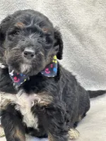 processed/bba197dd-e308-4e4e-8c22-f9874d2a47c1/listing/97995b83-0140-4a31-89a5-fbbe891d4044/90168a0d-36f1-4764-9ae3-6019fc7edabb