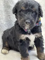 processed/bba197dd-e308-4e4e-8c22-f9874d2a47c1/listing/97995b83-0140-4a31-89a5-fbbe891d4044/aa962330-9d35-40b8-9ad8-4239c42ee1f1