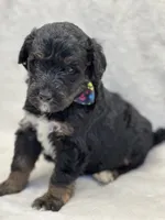 processed/bba197dd-e308-4e4e-8c22-f9874d2a47c1/listing/97995b83-0140-4a31-89a5-fbbe891d4044/df53f35f-c3db-432d-a2dd-be79b7916778