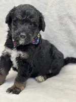 processed/bba197dd-e308-4e4e-8c22-f9874d2a47c1/listing/97995b83-0140-4a31-89a5-fbbe891d4044/fcb26769-488f-48d2-b46e-b9295b438bd0