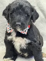 processed/bba197dd-e308-4e4e-8c22-f9874d2a47c1/listing/b88a4490-bf97-4ab1-84c9-6350650af630/10cc5207-61f8-4210-a73e-ed09539a51d2