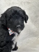 processed/bba197dd-e308-4e4e-8c22-f9874d2a47c1/listing/b88a4490-bf97-4ab1-84c9-6350650af630/389fdd5a-0f05-4341-9842-54d607b38e74