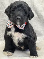 processed/bba197dd-e308-4e4e-8c22-f9874d2a47c1/listing/b88a4490-bf97-4ab1-84c9-6350650af630/3a167e9a-7f1d-45d9-9fb6-cd651df0ef41