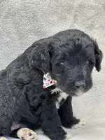 processed/bba197dd-e308-4e4e-8c22-f9874d2a47c1/listing/b88a4490-bf97-4ab1-84c9-6350650af630/5d7e46de-b1d9-4370-937a-be0570ddb3a0