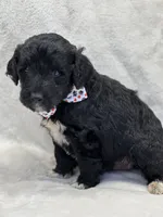 processed/bba197dd-e308-4e4e-8c22-f9874d2a47c1/listing/b88a4490-bf97-4ab1-84c9-6350650af630/adf101a3-6520-4526-ac0b-1154c1fe8651