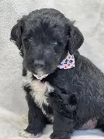 processed/bba197dd-e308-4e4e-8c22-f9874d2a47c1/listing/b88a4490-bf97-4ab1-84c9-6350650af630/be1135d4-f130-4685-81bf-97dabba3be11