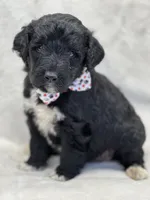 processed/bba197dd-e308-4e4e-8c22-f9874d2a47c1/listing/b88a4490-bf97-4ab1-84c9-6350650af630/c952513b-9914-49a9-833c-b0f1e883762d