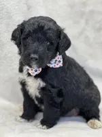 processed/bba197dd-e308-4e4e-8c22-f9874d2a47c1/listing/b88a4490-bf97-4ab1-84c9-6350650af630/cd1b0df3-8fdb-4d0d-b39a-a01d6e10dd0a