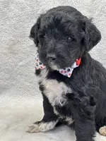 processed/bba197dd-e308-4e4e-8c22-f9874d2a47c1/listing/b88a4490-bf97-4ab1-84c9-6350650af630/dd25dd5d-8da6-46c9-a1fe-1b761ba704b5