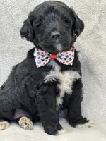 processed/bba197dd-e308-4e4e-8c22-f9874d2a47c1/listing/b88a4490-bf97-4ab1-84c9-6350650af630/fdd81e62-22a8-448f-af9b-5b65fc23a243