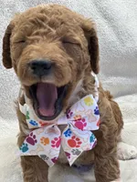 processed/bba197dd-e308-4e4e-8c22-f9874d2a47c1/listing/e3975052-c98f-447c-a1aa-07b4123be22c/2256b9f2-83bf-4f91-940f-1ed71ed81791