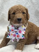 processed/bba197dd-e308-4e4e-8c22-f9874d2a47c1/listing/e3975052-c98f-447c-a1aa-07b4123be22c/437202be-a115-439c-b83d-f144e98da06a