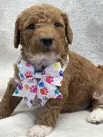 processed/bba197dd-e308-4e4e-8c22-f9874d2a47c1/listing/e3975052-c98f-447c-a1aa-07b4123be22c/4422d27e-e498-4b16-9f33-e5d396a7e84e