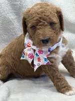 processed/bba197dd-e308-4e4e-8c22-f9874d2a47c1/listing/e3975052-c98f-447c-a1aa-07b4123be22c/6296a703-050f-4e7d-b604-b38928ccf1c8