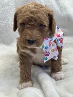 processed/bba197dd-e308-4e4e-8c22-f9874d2a47c1/listing/e3975052-c98f-447c-a1aa-07b4123be22c/68030f75-5c09-49e8-b063-44961f02b35c