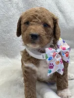 processed/bba197dd-e308-4e4e-8c22-f9874d2a47c1/listing/e3975052-c98f-447c-a1aa-07b4123be22c/8e146e3c-d538-4687-a48f-301f36e645f9