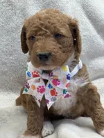 processed/bba197dd-e308-4e4e-8c22-f9874d2a47c1/listing/e3975052-c98f-447c-a1aa-07b4123be22c/8f555f50-f976-4777-abd0-ed92bbf214fe