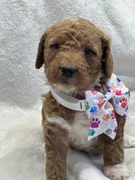 processed/bba197dd-e308-4e4e-8c22-f9874d2a47c1/listing/e3975052-c98f-447c-a1aa-07b4123be22c/d7d862f5-2ca6-40c8-a2a9-901e47905496