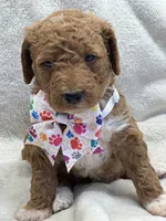 processed/bba197dd-e308-4e4e-8c22-f9874d2a47c1/listing/e3975052-c98f-447c-a1aa-07b4123be22c/e2e037b5-4d39-4246-8260-94ebf9f1d57b