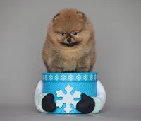 processed/bbae926d-fecc-4f67-9999-3766a3c5cf90/listing/7675f735-ec63-497d-a685-89c6bf741028/6bd855db-ca11-49b2-9bee-02e89de996df