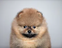 processed/bbae926d-fecc-4f67-9999-3766a3c5cf90/listing/7675f735-ec63-497d-a685-89c6bf741028/7cb508c9-deb0-46f8-a35d-cbb913ed2025