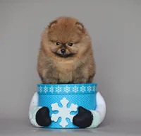 processed/bbae926d-fecc-4f67-9999-3766a3c5cf90/listing/7675f735-ec63-497d-a685-89c6bf741028/9baf1555-86aa-4521-92d7-5a840dca515a