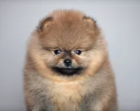 processed/bbae926d-fecc-4f67-9999-3766a3c5cf90/listing/7675f735-ec63-497d-a685-89c6bf741028/a67c247b-13c7-4a11-a622-1cb61749dc7e