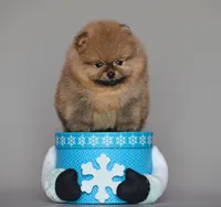 processed/bbae926d-fecc-4f67-9999-3766a3c5cf90/listing/7675f735-ec63-497d-a685-89c6bf741028/c919addb-6fcd-446a-b095-22ae58243b3f