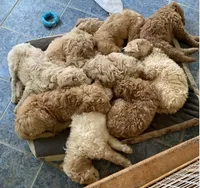 processed/bbc6ffb9-aa06-4970-96da-3748455cd740/facility/31d68fbb-9283-4a70-ba89-3b67445357e5