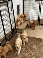 processed/bbc6ffb9-aa06-4970-96da-3748455cd740/facility/3fa38822-81a5-4a4e-8c5e-b7c351027732