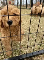 processed/bbc6ffb9-aa06-4970-96da-3748455cd740/facility/4b88bc41-e43c-4a30-86bf-87710d6d2b0e