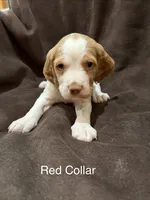 processed/bbc6ffb9-aa06-4970-96da-3748455cd740/listing/950d1545-ebd2-4b7f-85d9-4ad92f74e3b6/3a209735-f40b-4eb6-9484-044376fda99b