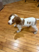 processed/bbc6ffb9-aa06-4970-96da-3748455cd740/listing/950d1545-ebd2-4b7f-85d9-4ad92f74e3b6/50b86b81-75fc-4056-b3b0-c2f630cd88d3