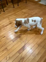 processed/bbc6ffb9-aa06-4970-96da-3748455cd740/listing/950d1545-ebd2-4b7f-85d9-4ad92f74e3b6/584a7fde-e244-4831-9417-0fc9e773e2f9