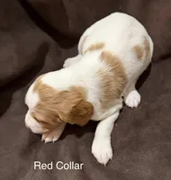 processed/bbc6ffb9-aa06-4970-96da-3748455cd740/listing/950d1545-ebd2-4b7f-85d9-4ad92f74e3b6/823383b4-0845-4ddc-8121-1cf1a8eefec0