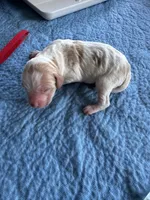 processed/bbc6ffb9-aa06-4970-96da-3748455cd740/listing/950d1545-ebd2-4b7f-85d9-4ad92f74e3b6/b3ae0315-36d2-4f6a-ac01-afb4f530290f