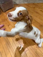 processed/bbc6ffb9-aa06-4970-96da-3748455cd740/listing/950d1545-ebd2-4b7f-85d9-4ad92f74e3b6/b50ef58c-b7d7-433d-b017-438f35979857