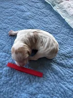 processed/bbc6ffb9-aa06-4970-96da-3748455cd740/listing/950d1545-ebd2-4b7f-85d9-4ad92f74e3b6/d4e9170e-2dfd-4203-9454-134fb0d44a93