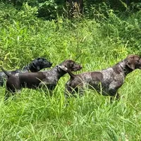 processed/bbd87dff-66b2-4f47-8219-bec57b2c3d64/facility/8e575249-876d-47f3-8853-a3d328849d9f